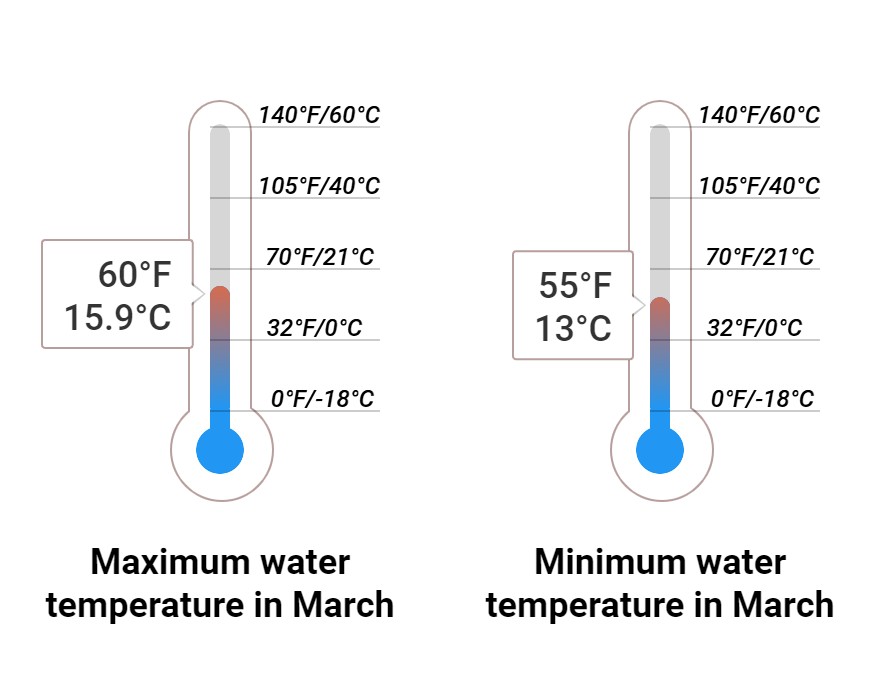 Average Sea temperature